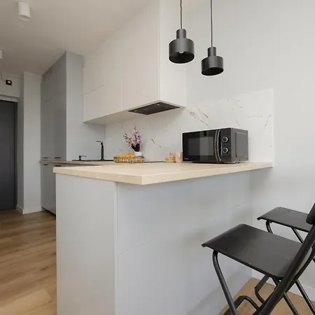 Pretty In Centre By Renters Apartment Warsaw